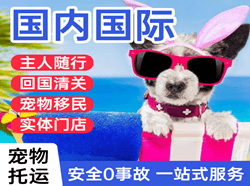 济宁大安航空邮寄国际宠物托运 【国